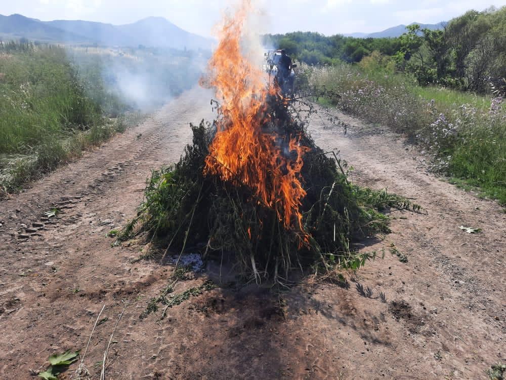Azad edilən ərazilərdə aşkarlanan silah-sursatın sayıAÇIQLANDI (FOTOLAR)