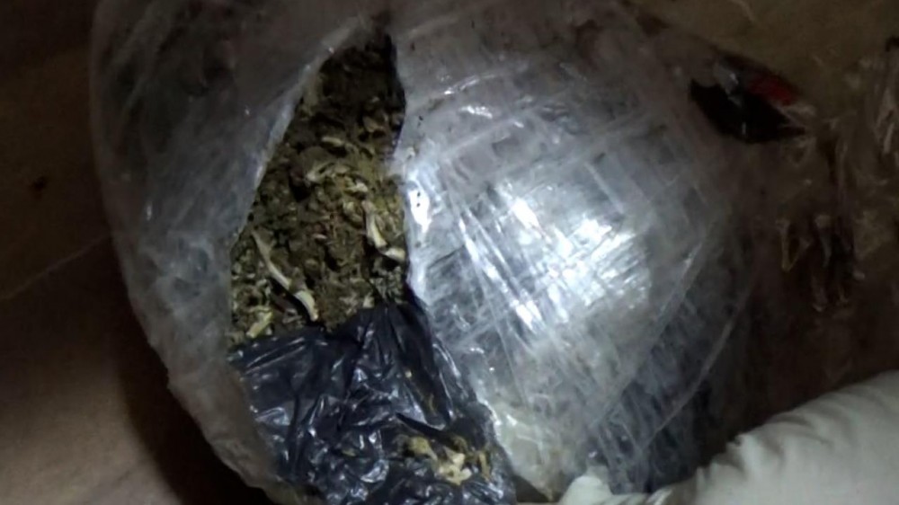 Bakıda narkokuryerliklə məşğul olan blogerSAXLANILDI (VİDEO)