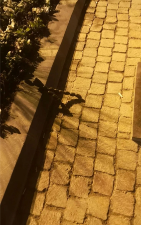 Tağıyevin heykəlini zədələyən şəxslər saxlanıldı- FOTOLAR (YENİLƏNİB)