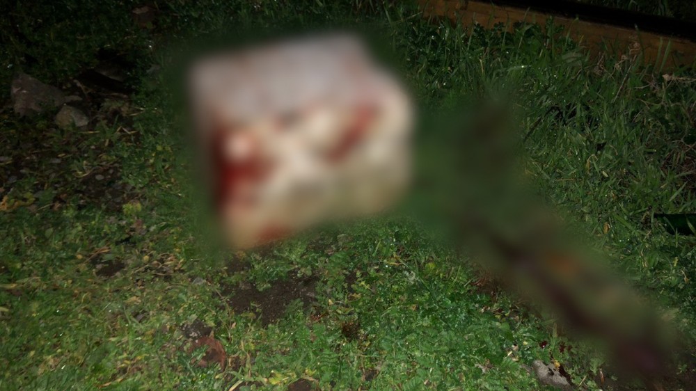 Ahıl kişini izlədi, başına daş vurub...- VİDEO