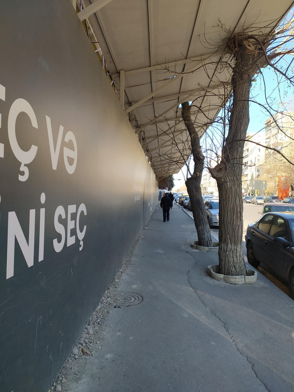 Bakıda yol kənarındakı ağac yoxa çıxdı- FOTO