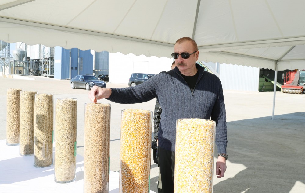 İlham Əliyev və Mehriban Əliyeva “Ağcabədi taxıl Aqropark”da yaradılan şəraitlə tanış olublar- FOTOLAR