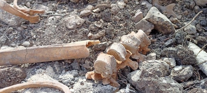 Fərruxda daha 3 azərbaycanlının meyitlərinin qalıqları tapıldı- FOTOLAR