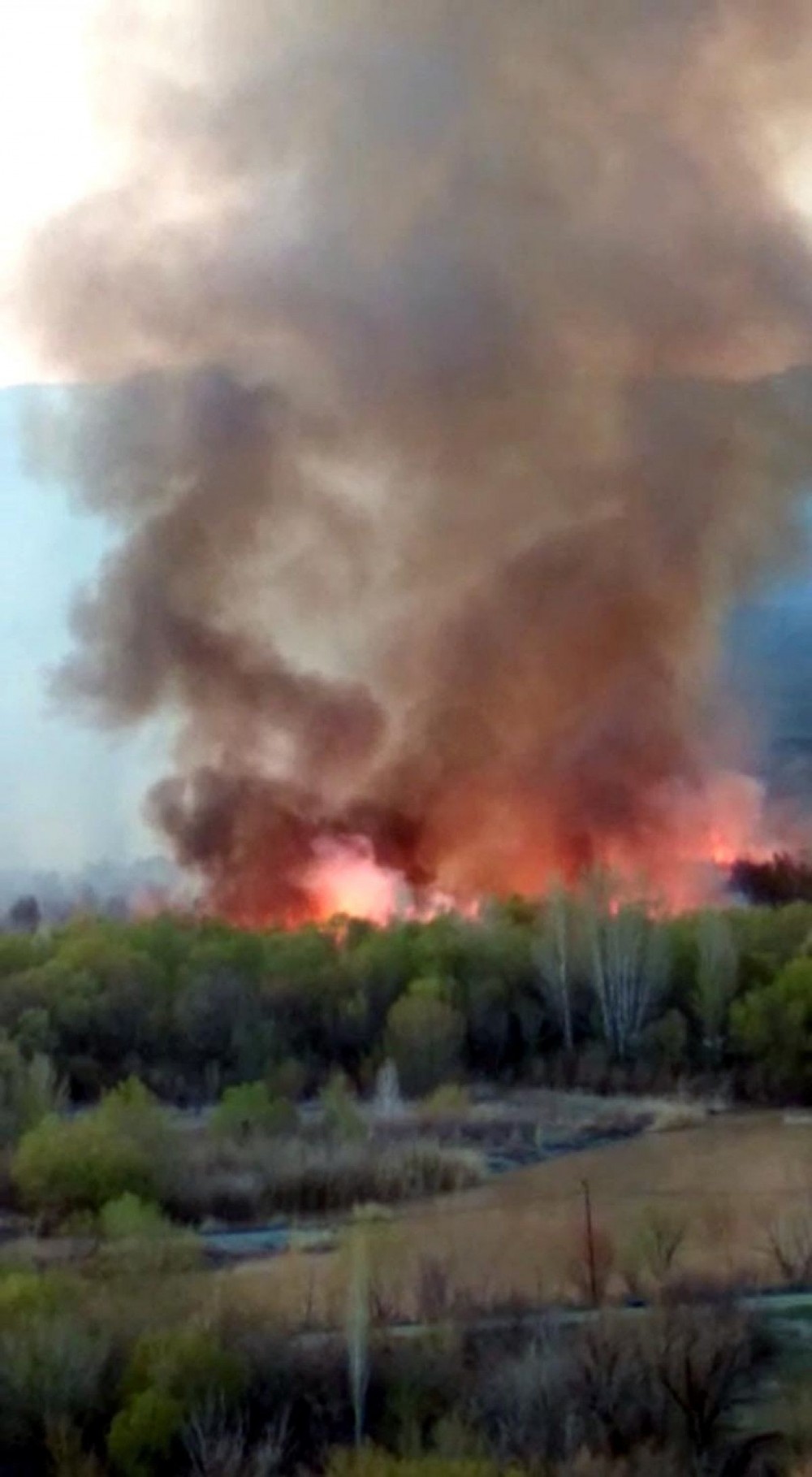 Ermənilər Türkiyə sərhədində yanğın törətdi- FOTOLAR
