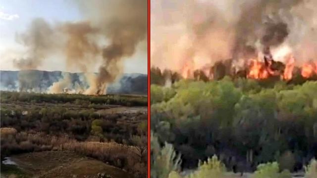 Ermənilər meşəni buna görə yandırdılar- FOTO