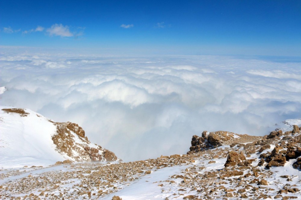 DTX əməkdaşları “Heydər zirvəsi”nə yürüş təşkil etdilər— FOTOLAR