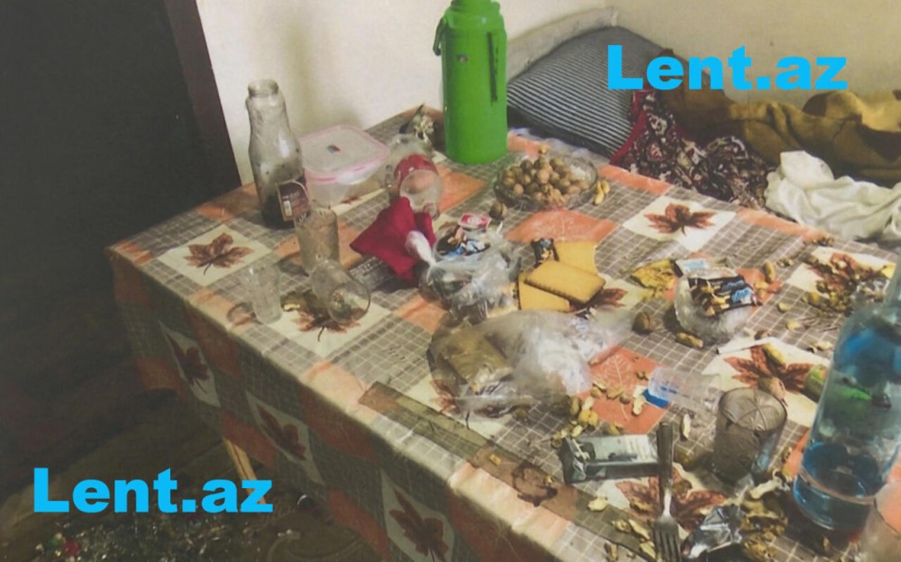 "Sonra qərara gəldik ki, marketdən spirtli içki alıb, bizim evə gedək"- Dəhşətli qətlin TƏFƏRRÜATI