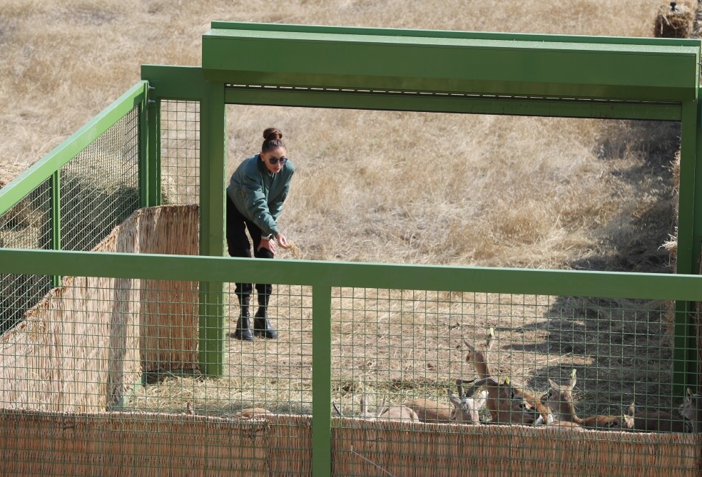 Prezidentlə xanımının Cəbrayıl, Qubadlı və Zəngilana səfərindən- FOTOLAR