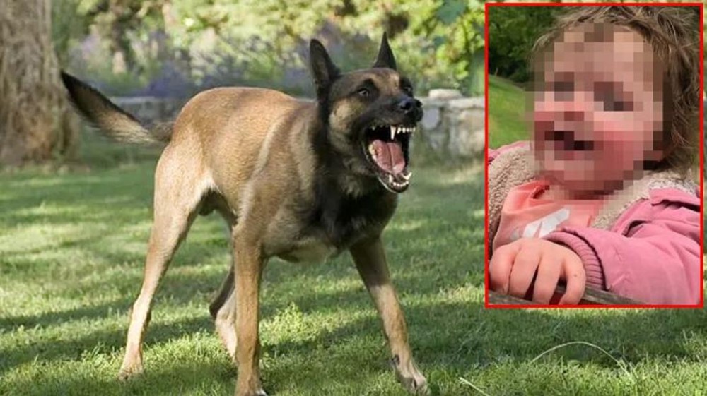 4 yaşlı qız faciəvi şəkildəöldü (FOTO)