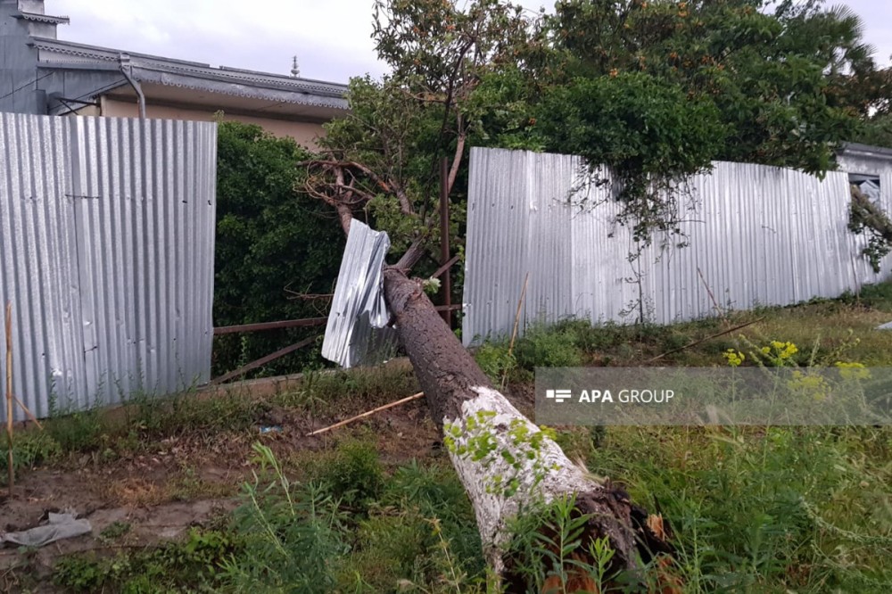 Göyçayda güclü qasırğa:İki nəfər öldü, yaralananlar var (FOTO)