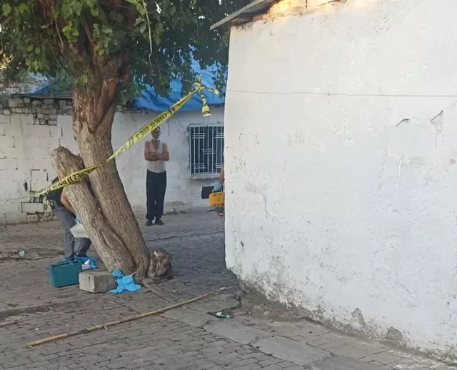 DƏHŞƏT: Qadının meyitiağacdan asılı halda tapıldı