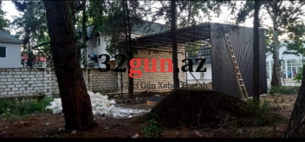 Qazaxda Əliağa Şıxlinski küçəsində növbəti "Yaşıl terror" -İcra başçısı hara baxır?