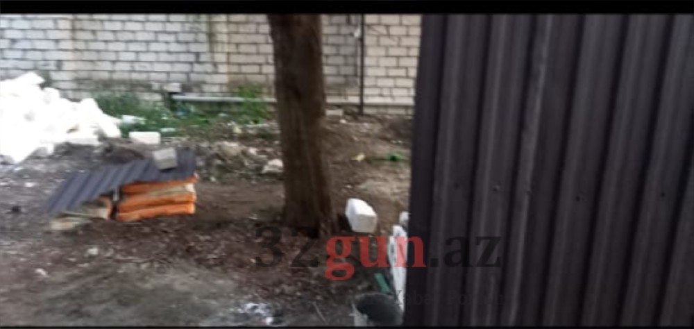 Qazaxda Əliağa Şıxlinski küçəsində növbəti "Yaşıl terror" -İcra başçısı hara baxır?