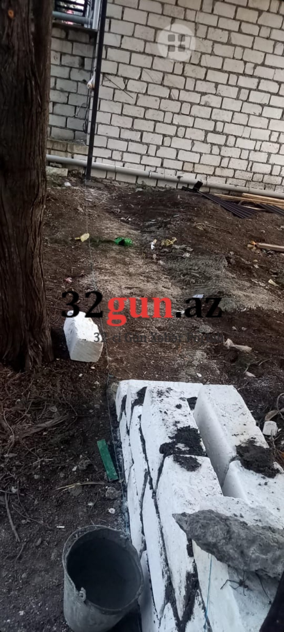 Qazaxda Əliağa Şıxlinski küçəsində növbəti "Yaşıl terror" -İcra başçısı hara baxır?