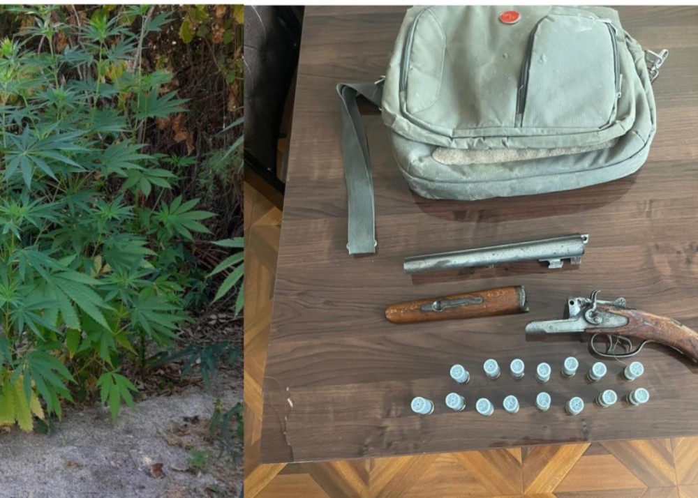 Prezident yeni səfirlərin etimadnaməsini qəbul edib - YENİLƏNİB