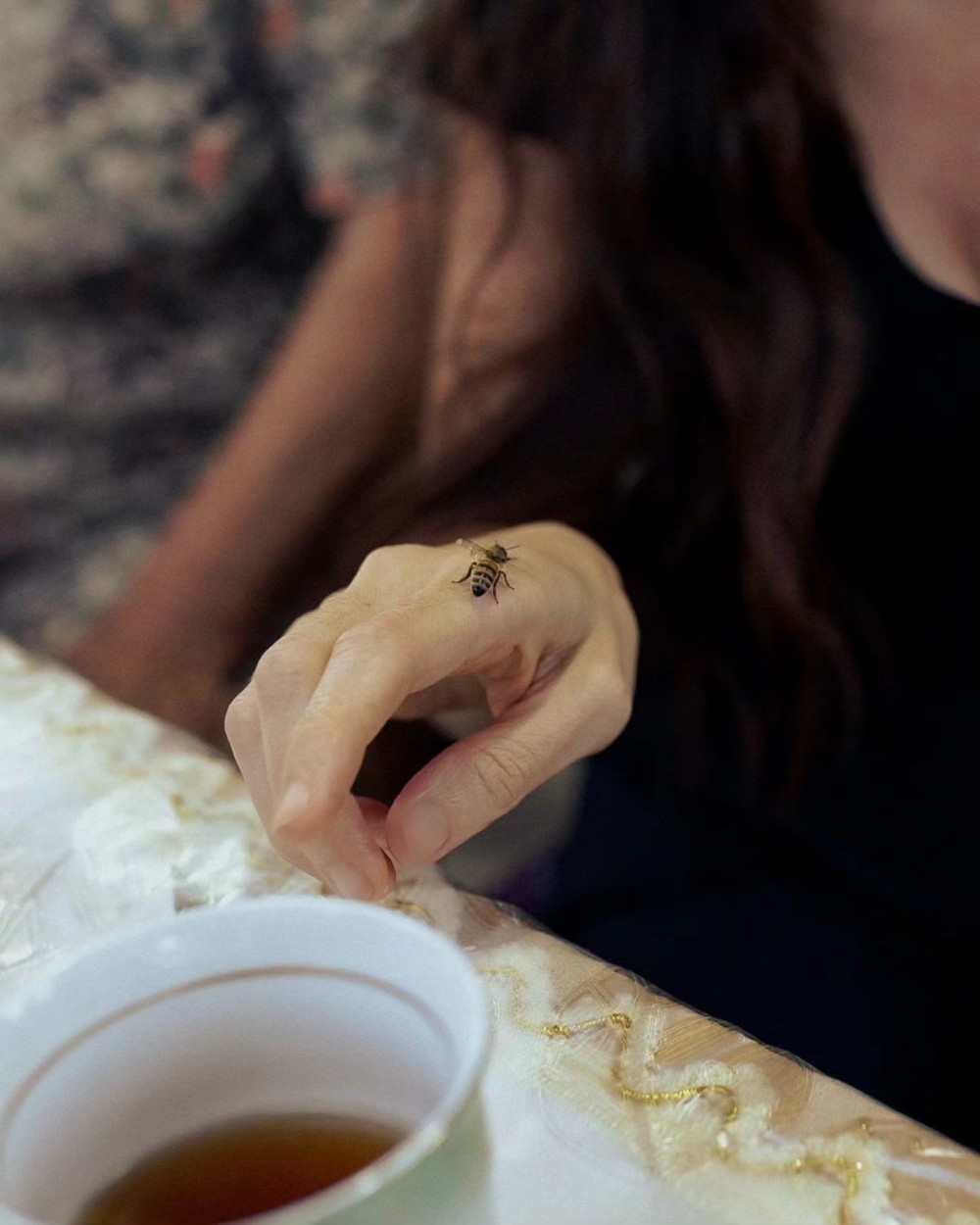 Leyla Əliyeva və Arzu Əliyeva Qəbələdə -FOTOLAR