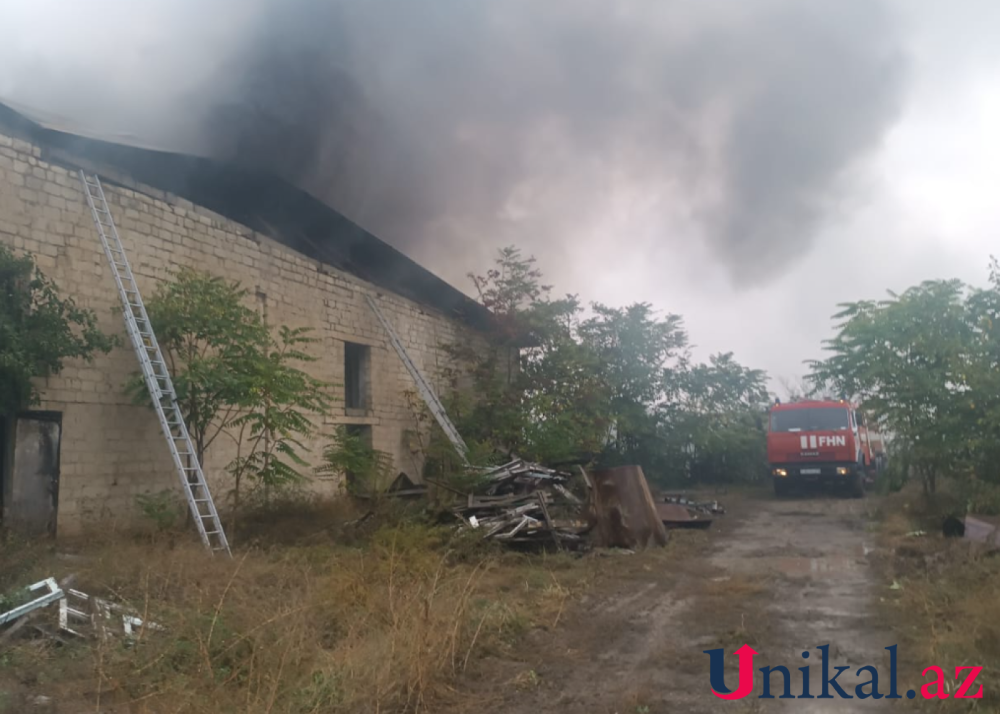 Tovuzda şərab zavodunda yanğın məhdudlaşdırıldı - YENİLƏNİB (FOTO)