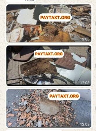 Nəsimi rayonunda "YAŞIL TERROR" davam edir - Ağacların kütləvi kəsilir(VİDEO+ FOTO)