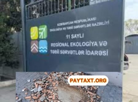 Nəsimi rayonunda "YAŞIL TERROR" davam edir - Ağacların kütləvi kəsilir(VİDEO+ FOTO)