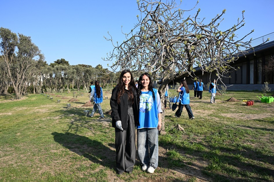 Leyla Əliyevanın təşəbbüsü ilə ağaclara nömrəli etiketlər vuruldu - FOTOLAR