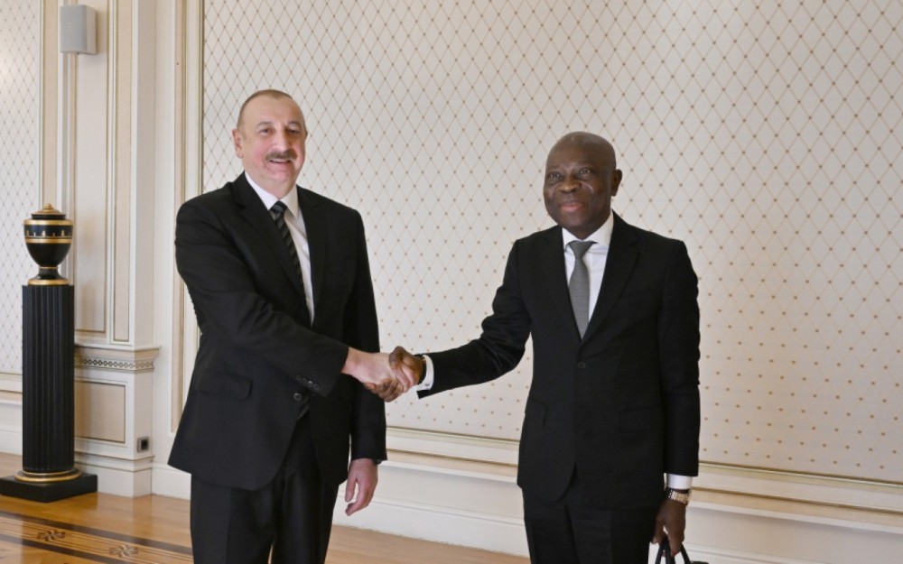 Prezident Beynəlxalq Əmək Təşkilatının Baş direktorunu qəbul etdi - FOTO