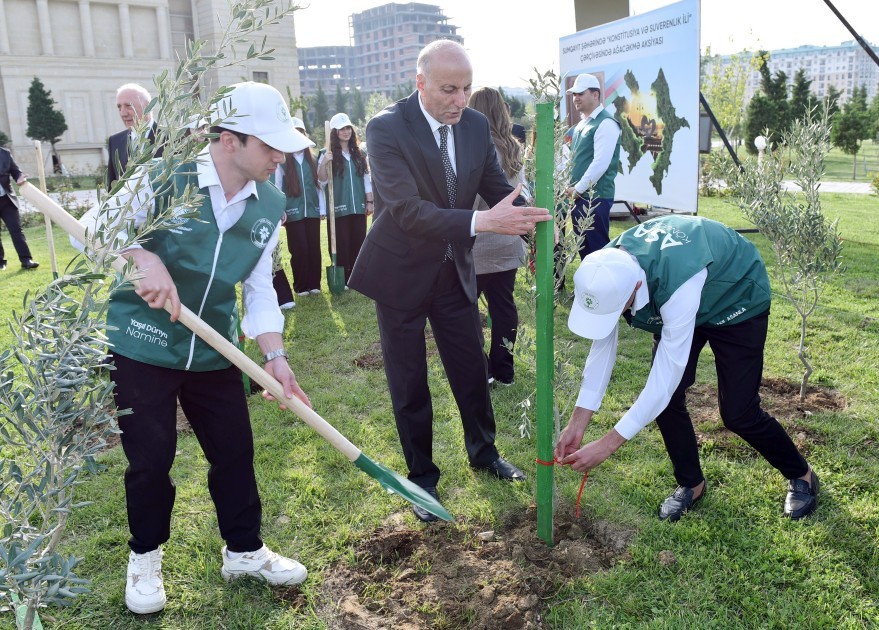 Leyla və Arzu Əliyevalar ağacəkmə aksiyasında -FOTOLAR