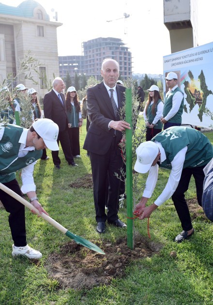 Leyla və Arzu Əliyevalar ağacəkmə aksiyasında -FOTOLAR
