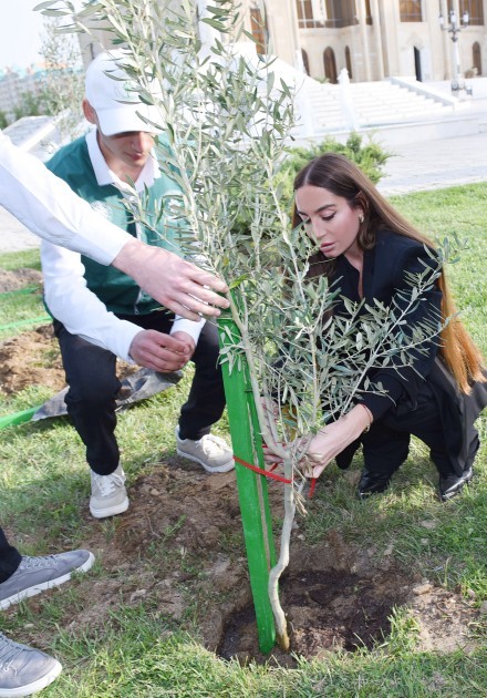 Leyla və Arzu Əliyevalar ağacəkmə aksiyasında -FOTOLAR