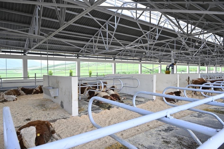 Prezident Xocalıda daha bir kompleksin açılışını etdi -YENİLƏNİB