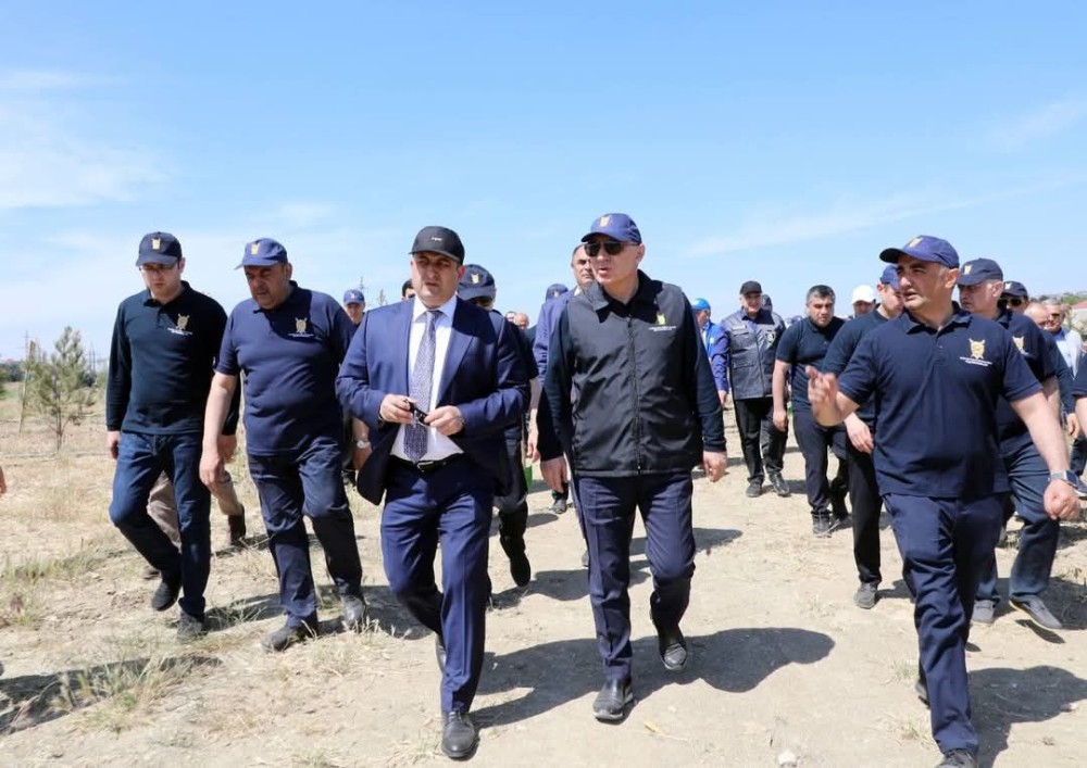 Adil Əliyev Baş prokurorla ağac əkdi +FOTO