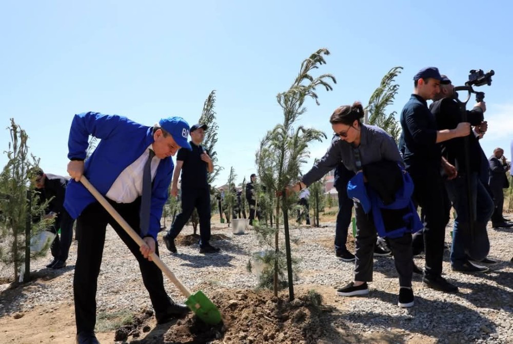 Adil Əliyev Baş prokurorla ağac əkdi +FOTO