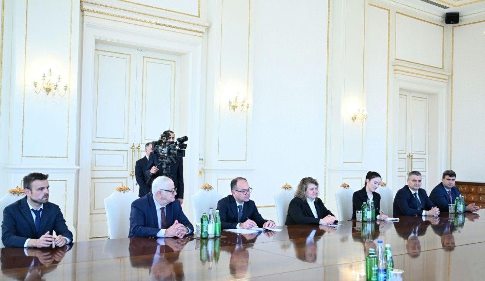 İlham Əliyev Nataliya Kiselovanı qəbul etdi -FOTOLAR