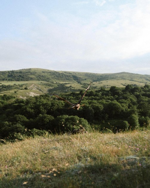 Leyla Əliyeva və Arzu Əliyeva Altıağac Milli Parkında - FOTOLAR