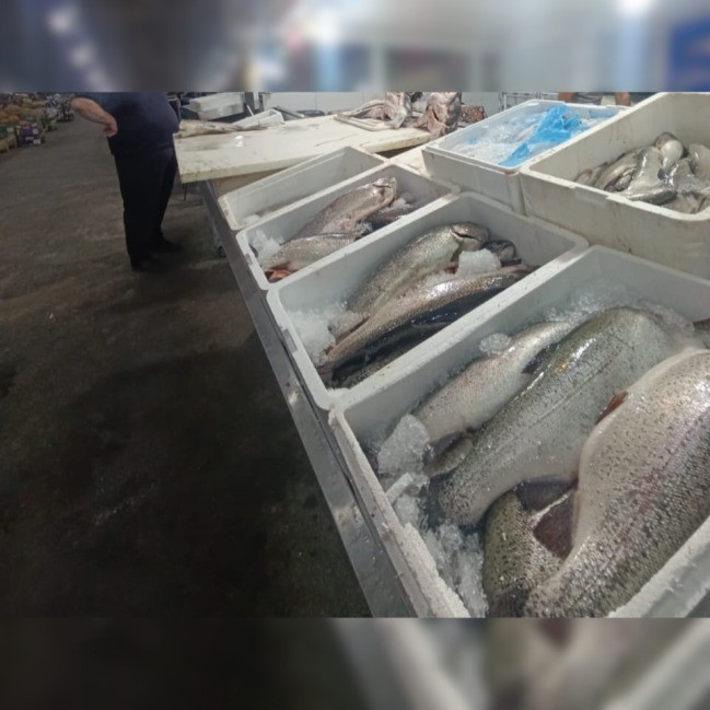 Keşlə” bazarından balıq alanların nəzərinə - Yararsız məhsullar aşkarlandı (FOTOLAR)