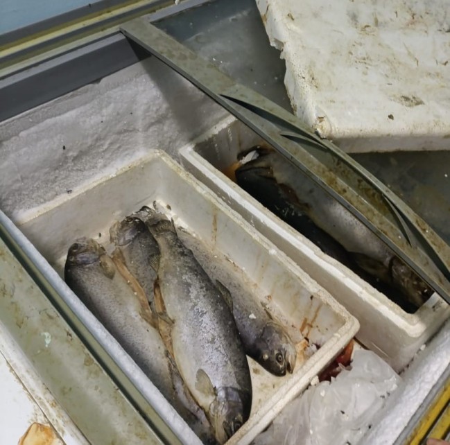 Keşlə” bazarından balıq alanların nəzərinə - Yararsız məhsullar aşkarlandı (FOTOLAR)