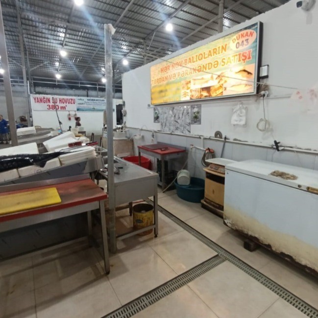 Keşlə” bazarından balıq alanların nəzərinə - Yararsız məhsullar aşkarlandı (FOTOLAR)