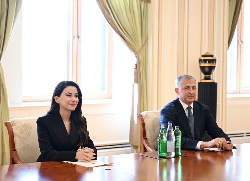 Prezident gürcüstanlı naziri qəbul etdi -FOTOLAR