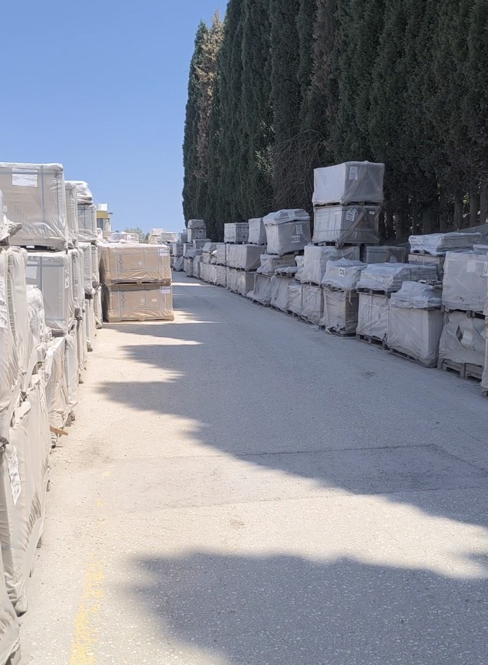 "Seranit Group"da Süni İntellekt və İnsan Faktoru –Azərbaycan Bazarına Fokuslanma /FOTO + VİDEO