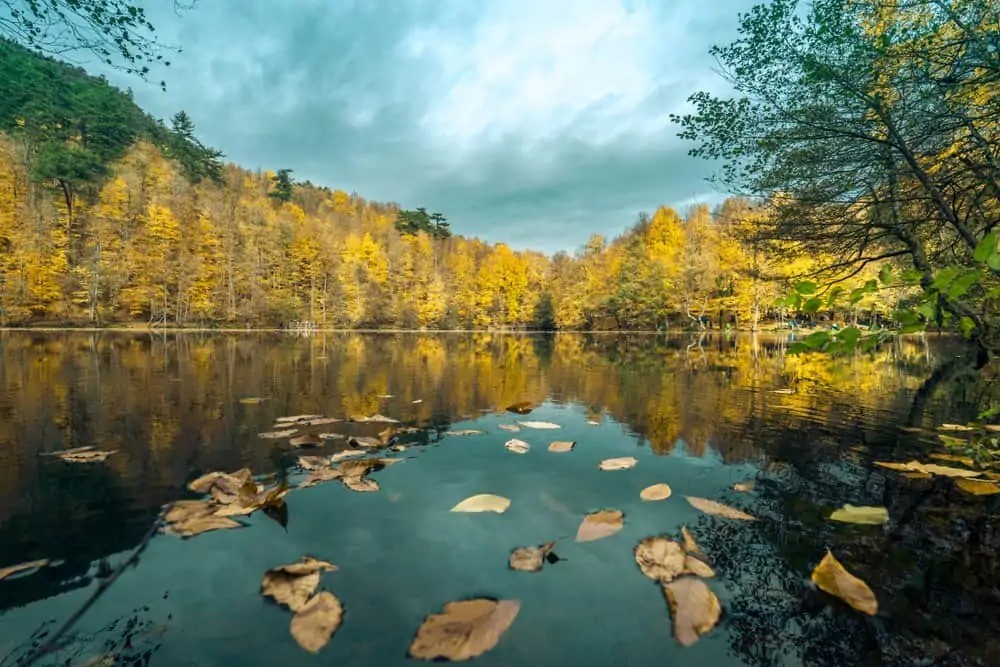 Türkiyənin payız möcüzələri: Bu əraziləri mütləq ziyarət edin(FOTO)