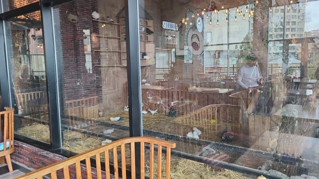 "Kolorit”də heyvanlar qanunsuz saxlanılırmış -FOTOLAR