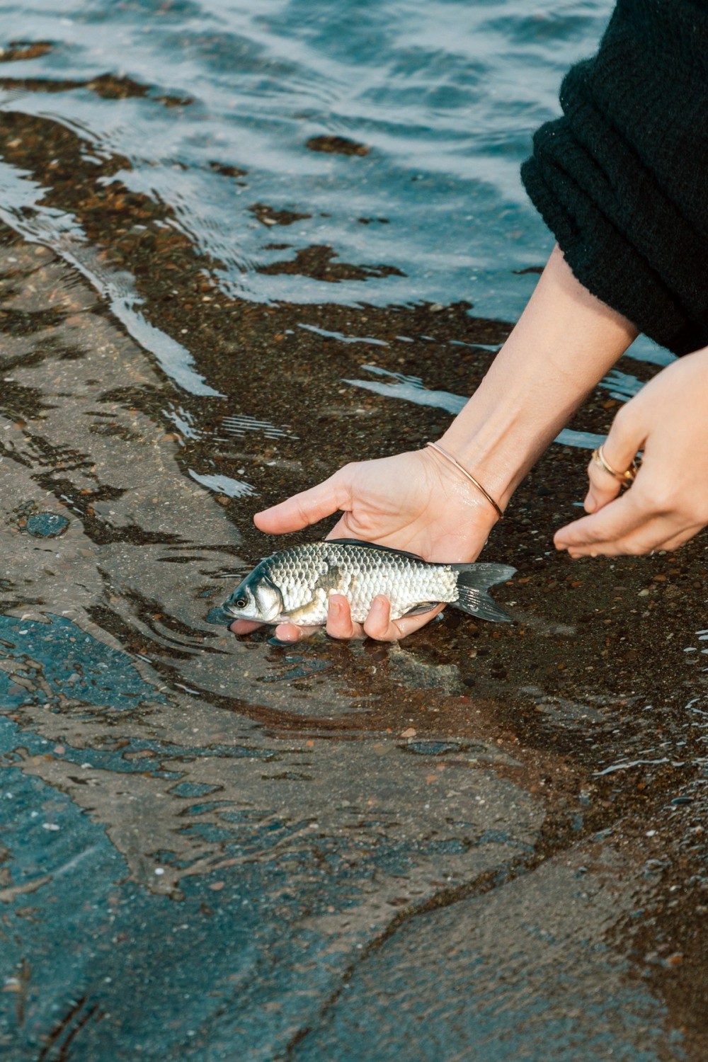 Leyla Əliyeva Mingəçevirdə ekoloji aksiyalarda -FOTOLAR