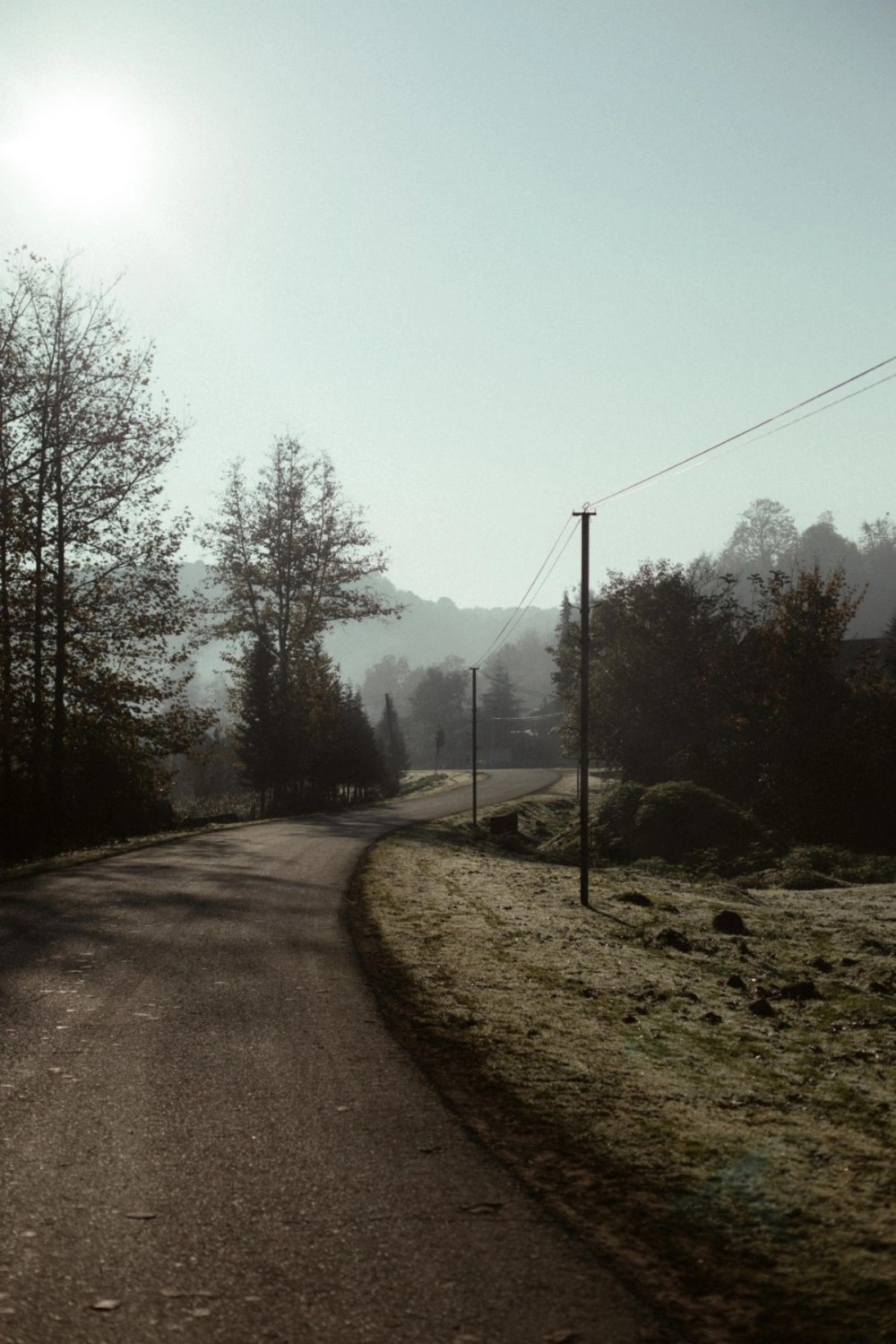 Leyla, Arzu və Alena Əliyevalar ekoloji aksiyalarda -FOTOLAR