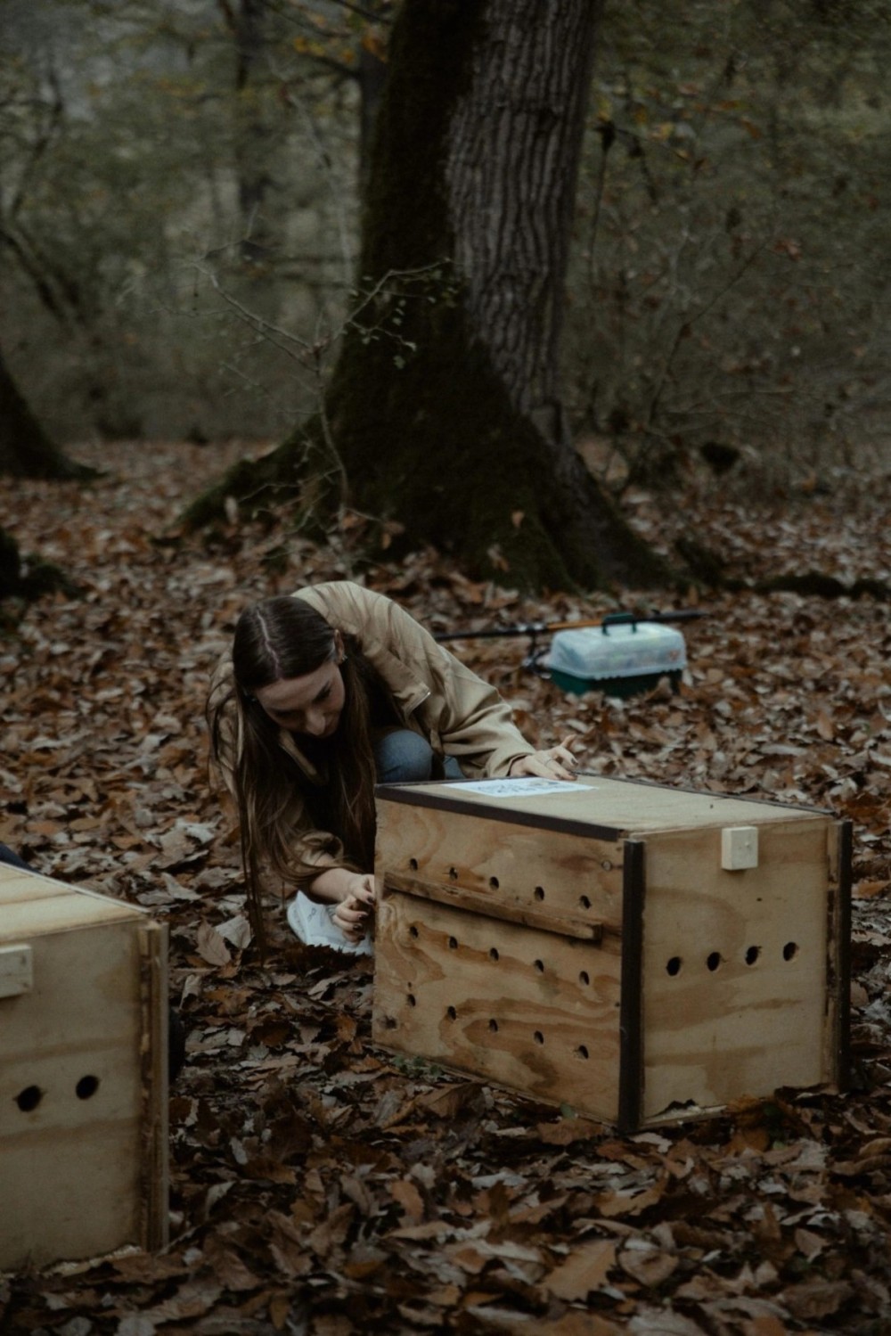 Leyla, Arzu və Alena Əliyevalar ekoloji aksiyalarda -FOTOLAR