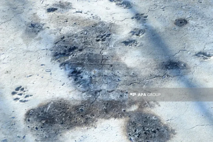 Bakıda 4 ofisiantın öldüyü yerdənFOTO