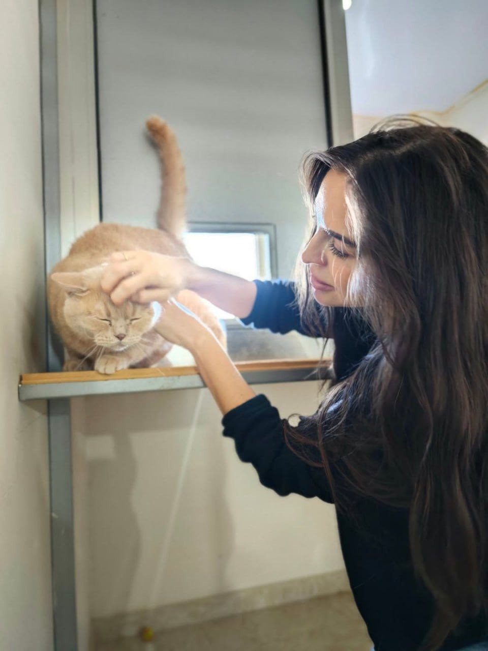 Leyla Əliyeva Heyvanlara Qayğı Mərkəzində -FOTOLAR