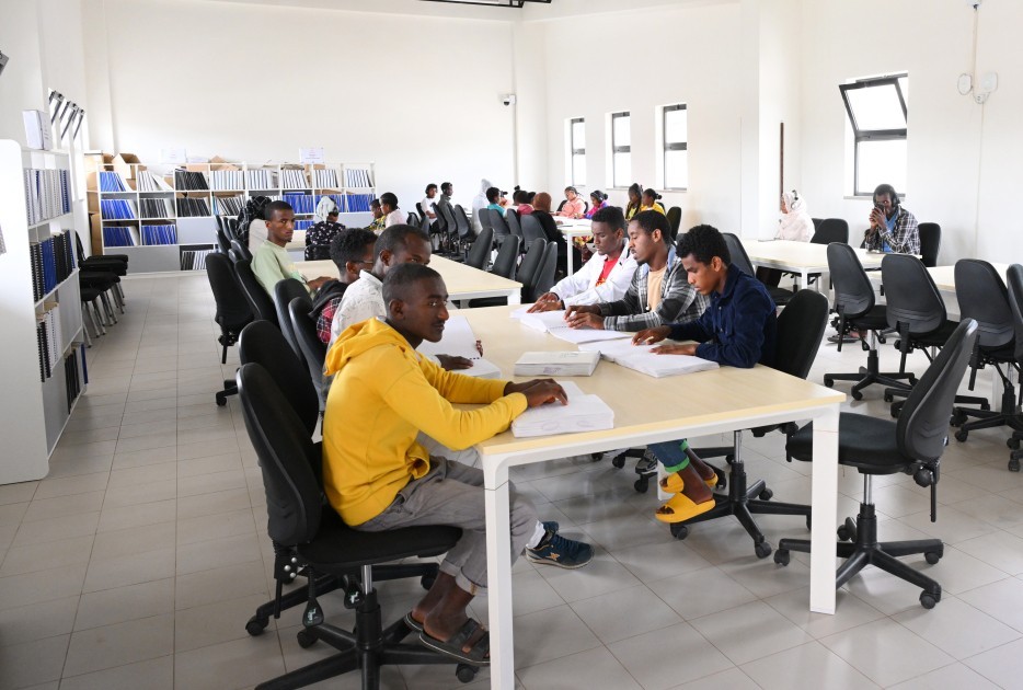 Leyla Əliyeva Əddis-Əbəbədə bir sıra sosial və mədəni obyektlərlə tanış olub -FOTOLAR